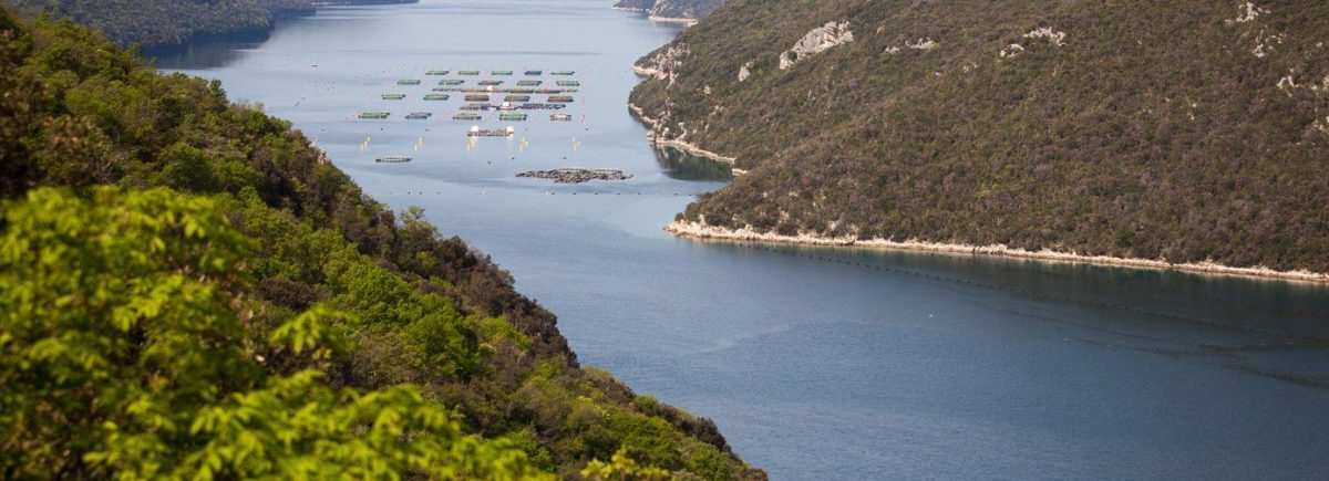 het limski kanaal vlakbij camping polari in kroatie